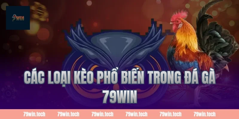Các loại kèo phổ biến trong đá gà 79WIN