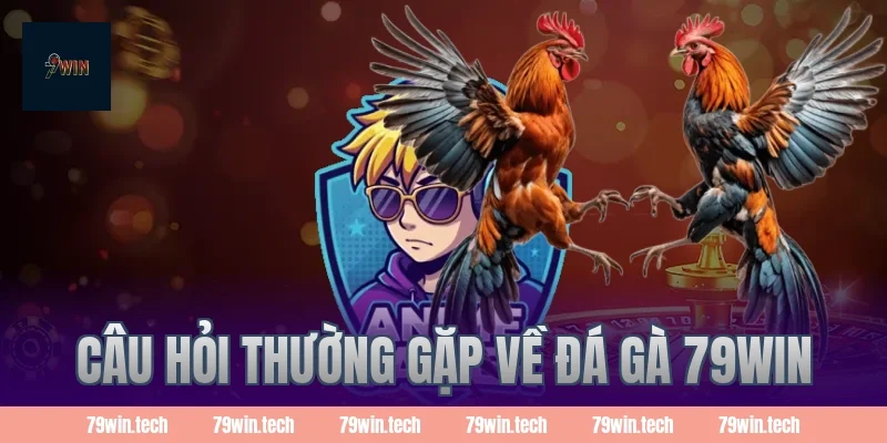 Câu hỏi thường gặp về đá gà 79WIN