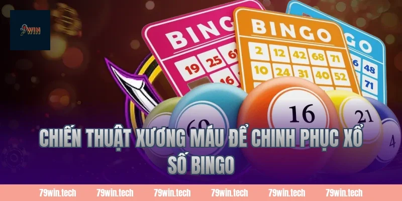 Chiến thuật xương máu để chinh phục xổ số bingo