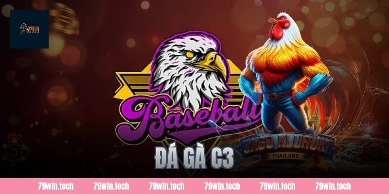 đá gà C3