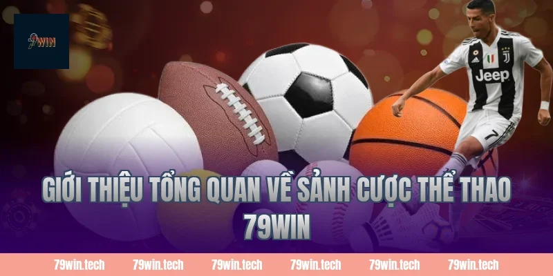 Giới thiệu tổng quan về sảnh cược thể thao 79WIN