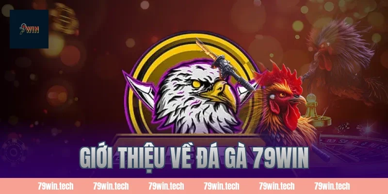 Giới thiệu về đá gà 79WIN