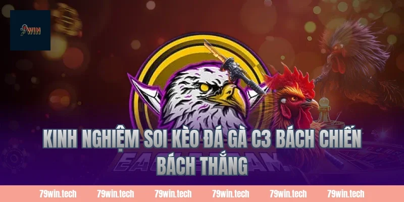 Kinh nghiệm soi kèo đá gà C3 bách chiến bách thắng