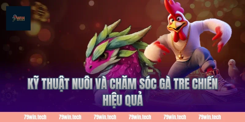 Kỹ thuật nuôi và chăm sóc gà tre chiến hiệu quả