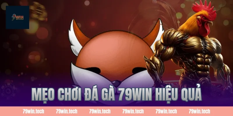 Mẹo chơi đá gà 79WIN hiệu quả