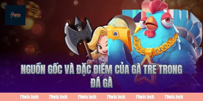 Nguồn gốc và đặc điểm của gà tre trong đá gà