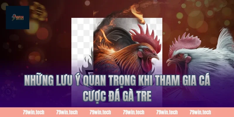 Những lưu ý quan trọng khi tham gia cá cược đá gà tre