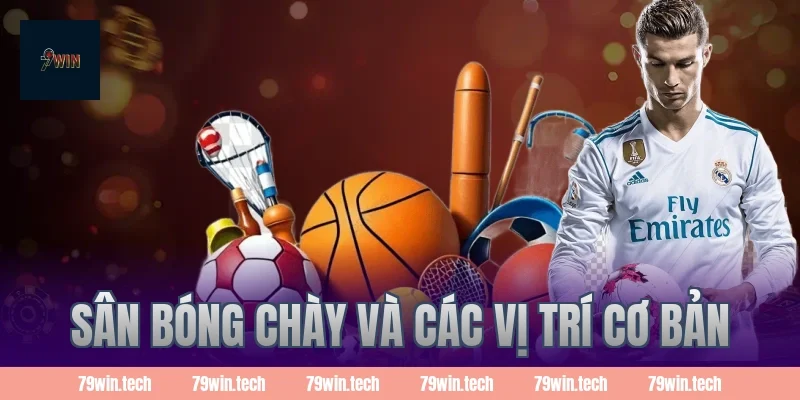 Sân bóng chày và các vị trí cơ bản