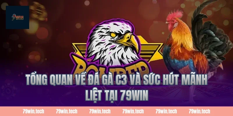 Tổng quan về đá gà C3 và sức hút mãnh liệt tại 79win