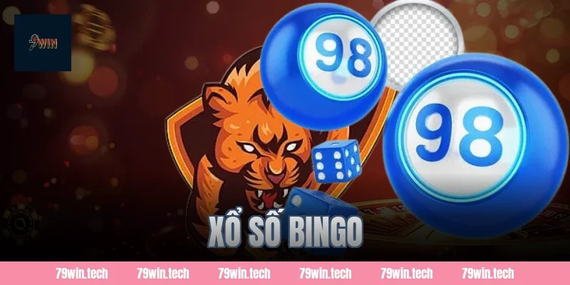 xổ số bingo